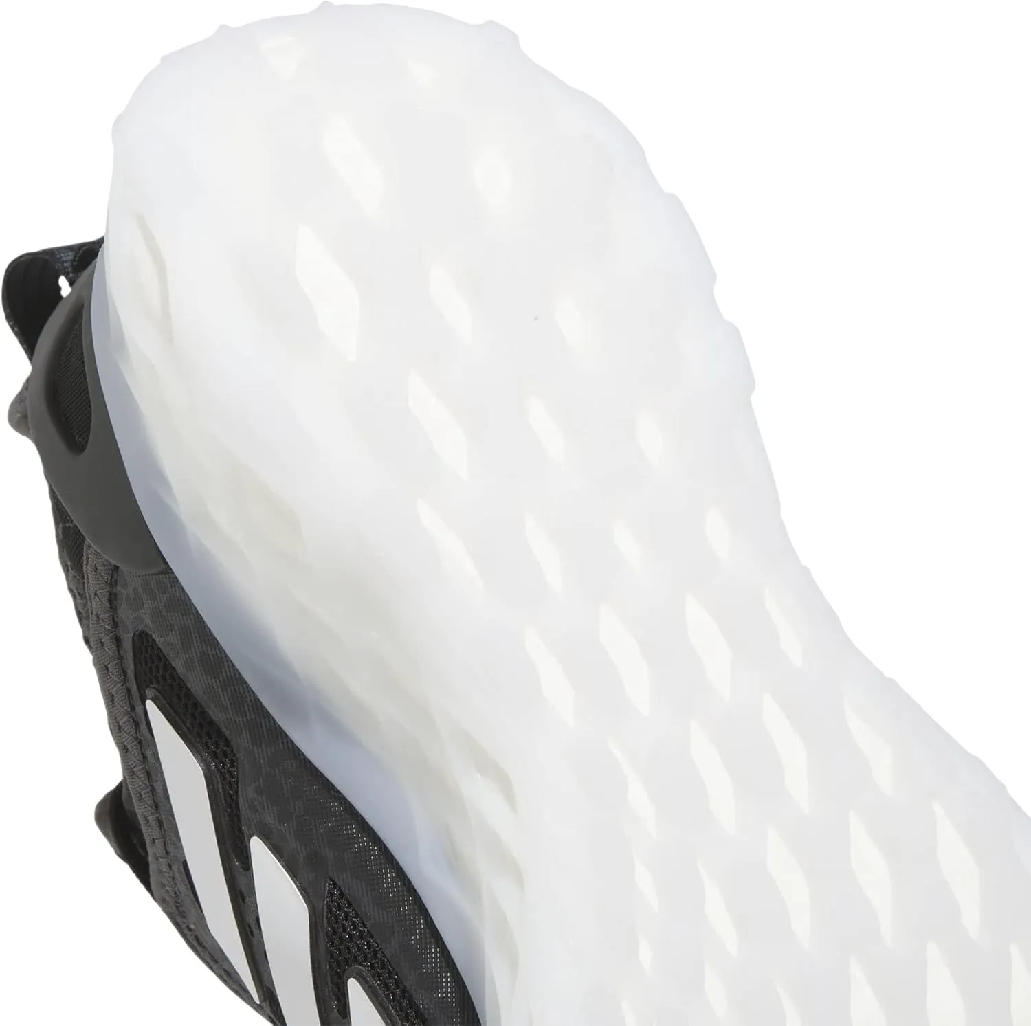 adidas Women's Web Boost Running Shoe